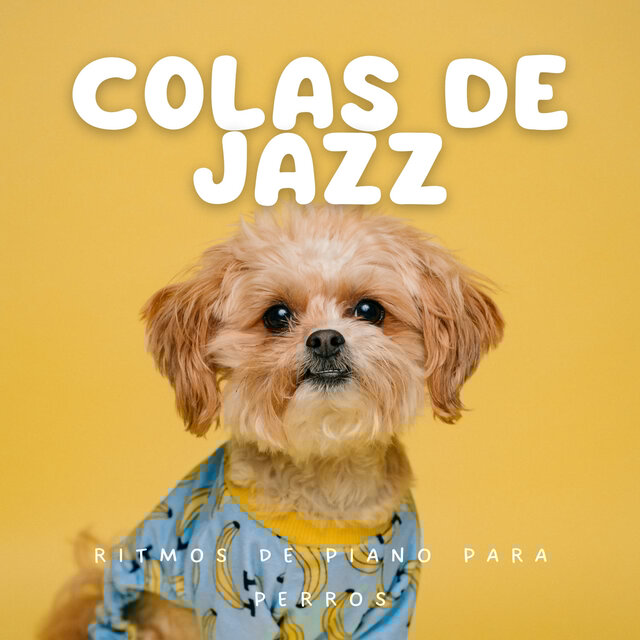 Colas De Jazz: Ritmos De Piano Para Perros