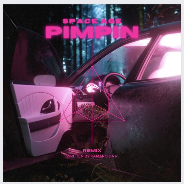 Space Age Pimpin (Remix)