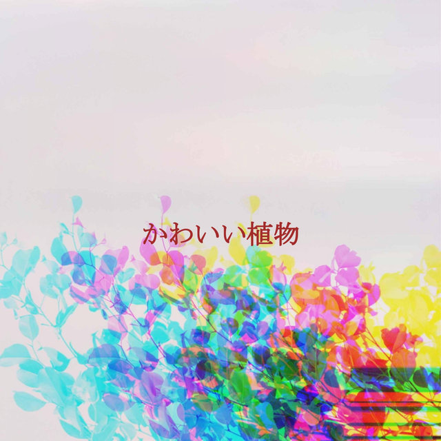 かわいい植物