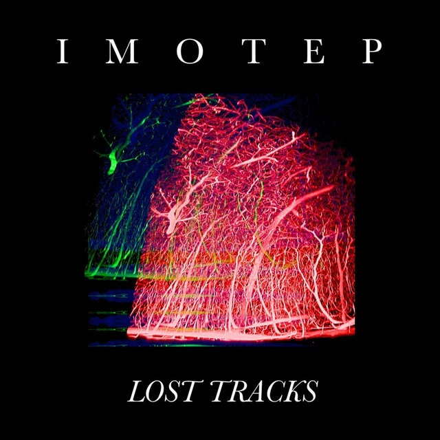 LOST TRACKS