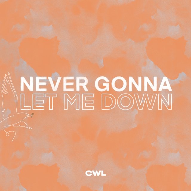 Never Gonna Let Me Down