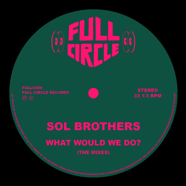 What Would We Do? (The Mixes)
