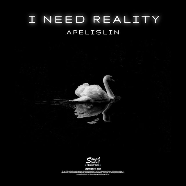I Need Reality (Radio Edit)