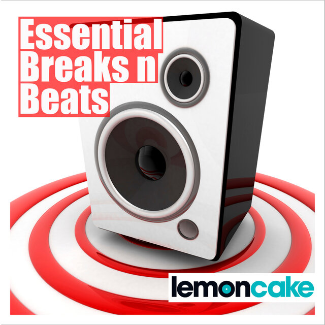 Essential Breaks 'n' Beats