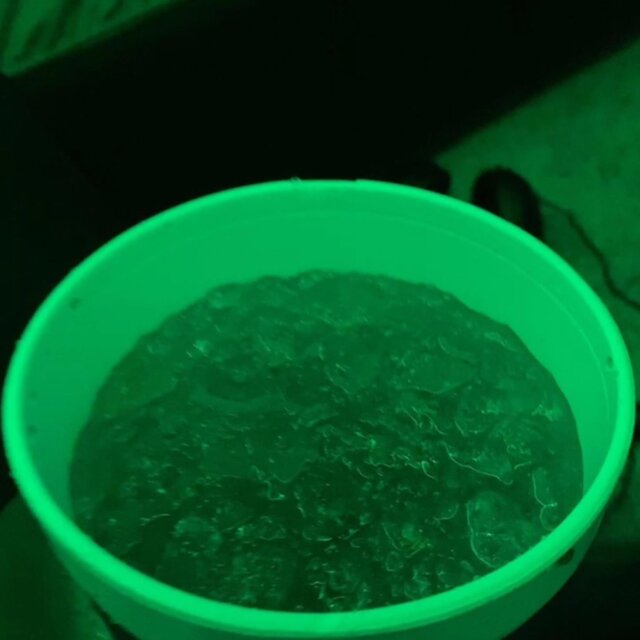 Codeine Schemes(Sorry 4 The Wait)