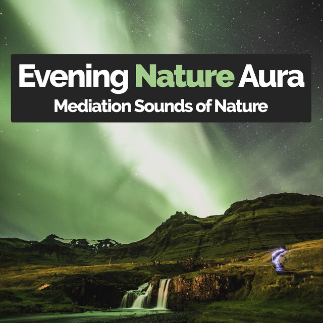 Evening Nature Aura
