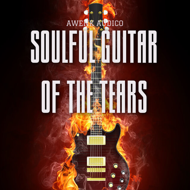 Soulful Guitar of the Tears