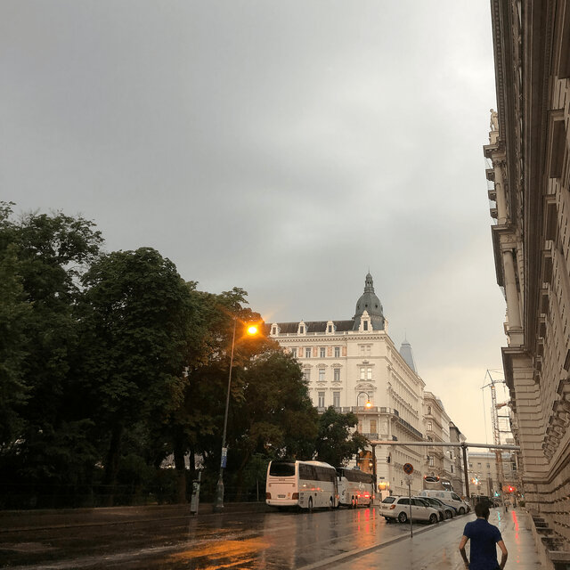 In the Rain