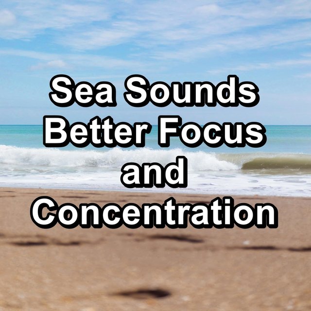 Sea Sounds Better Focus and Concentration