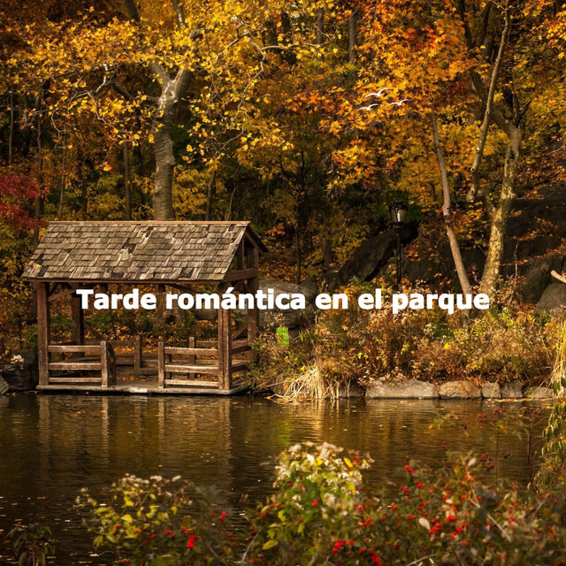 Tarde romántica en el parque