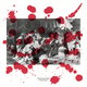 Cover art for album Broken Rome by The Citizen's Band