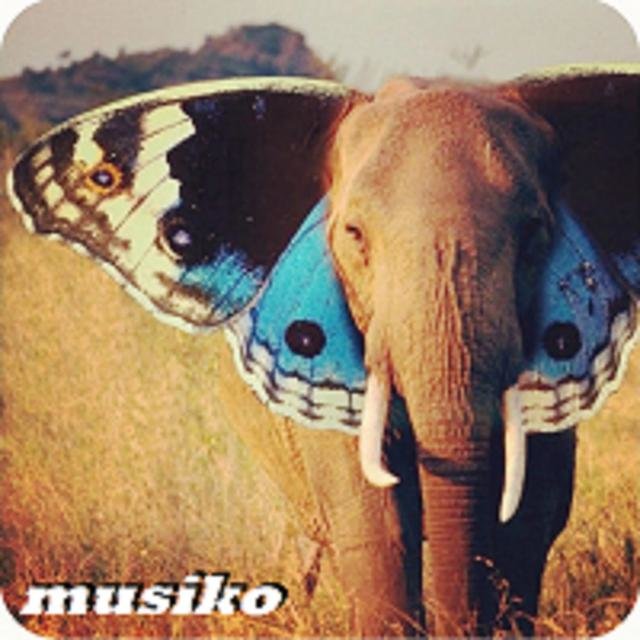The House Of Butterfly