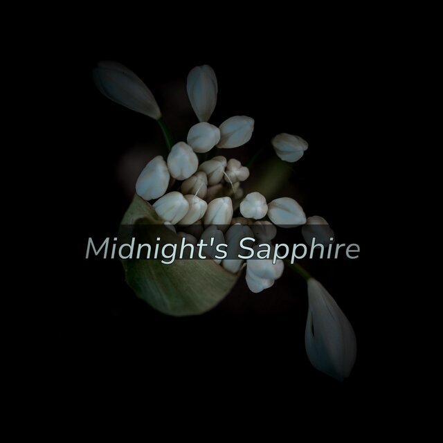 Midnight's Sapphire