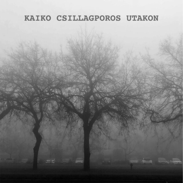 Csillagporos utakon