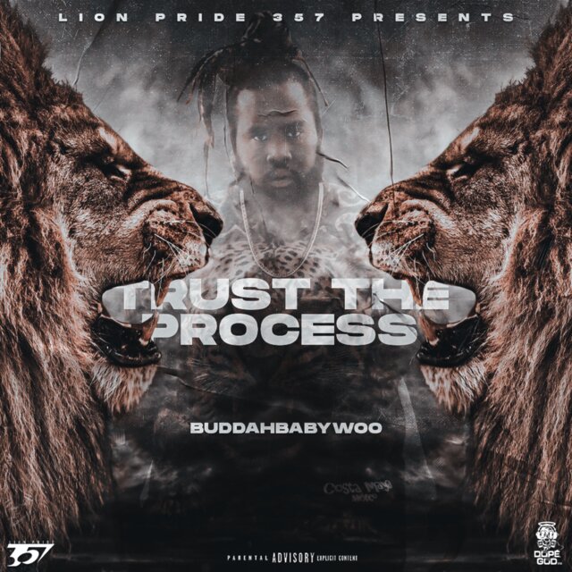 Trust The Process