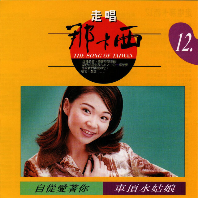 走唱那卡西 12