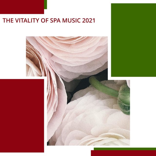 The Vitality Of Spa Music 2021