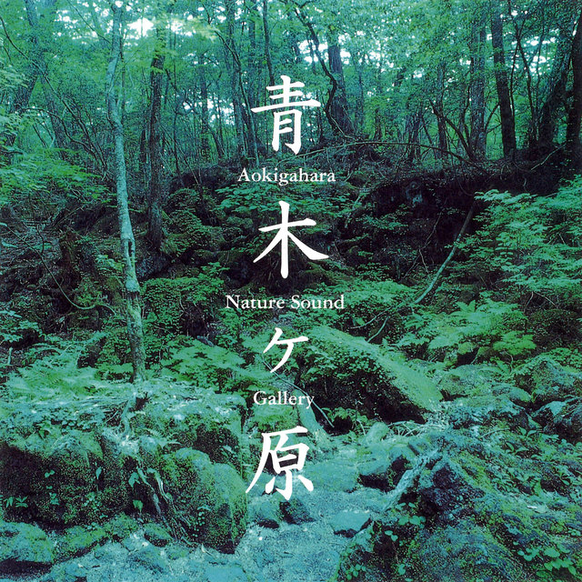 Sound of Aokigahara Jukai - Sea of Trees