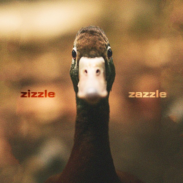 Zizzle Zazzle