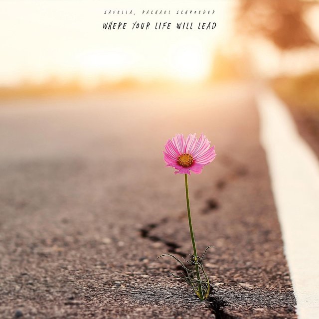 Where Your Life Will Lead