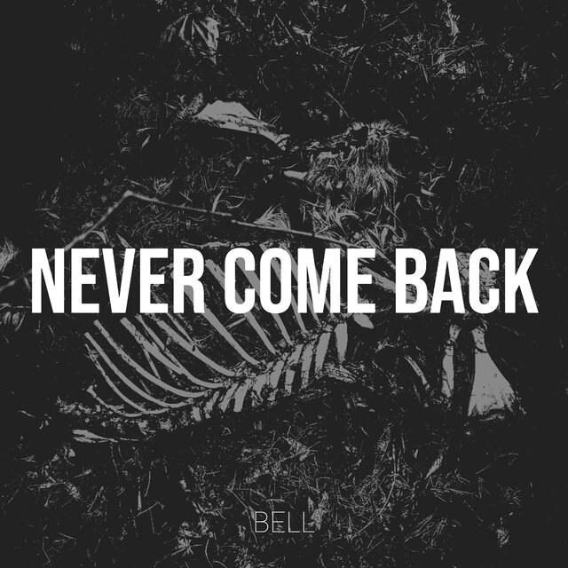 Never Come Back