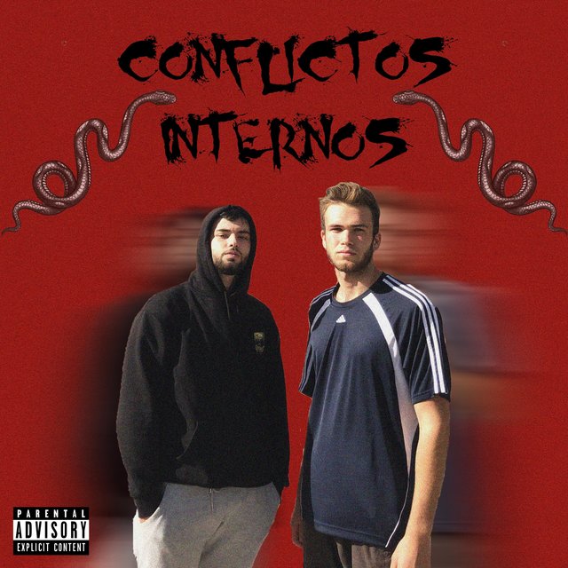 Conflictos Internos
