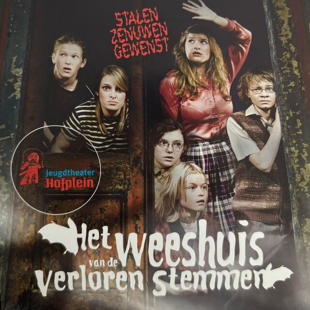 Het weeshuis van de verloren stemmen