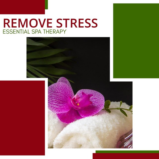 Remove Stress - Essential Spa Therapy