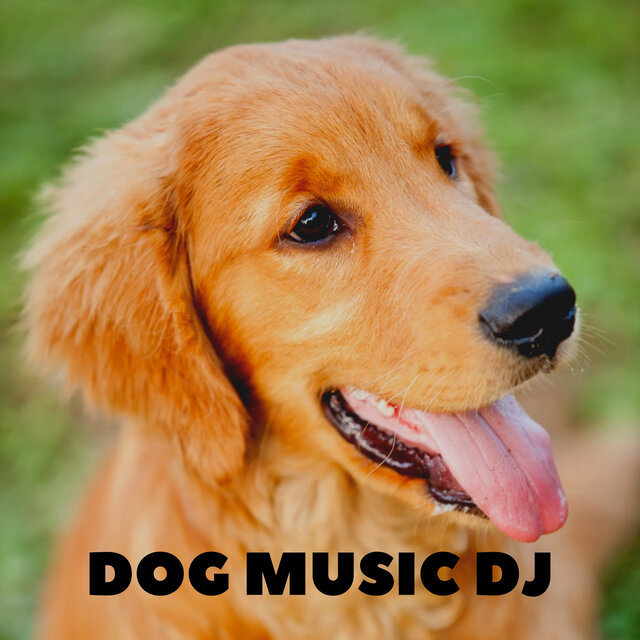 Dog Lullaby Songs
