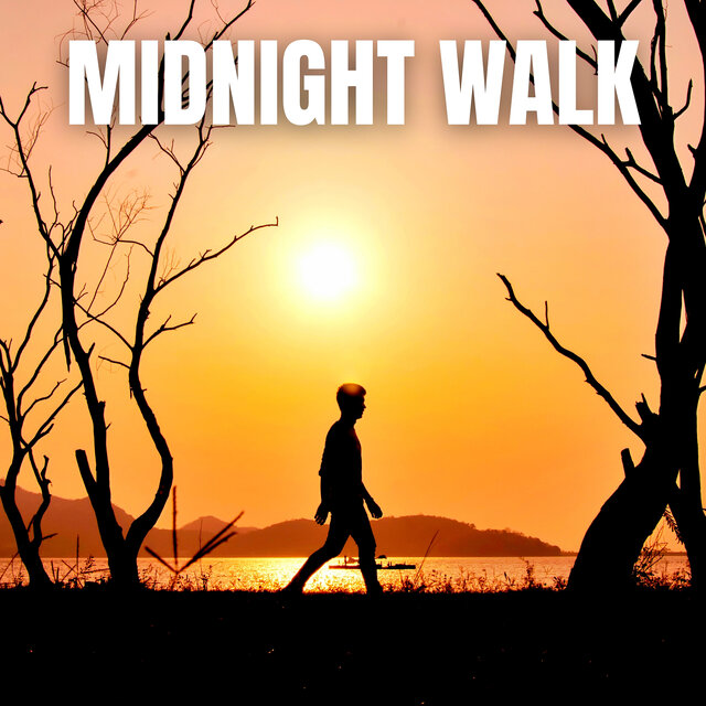 Midnight Walk