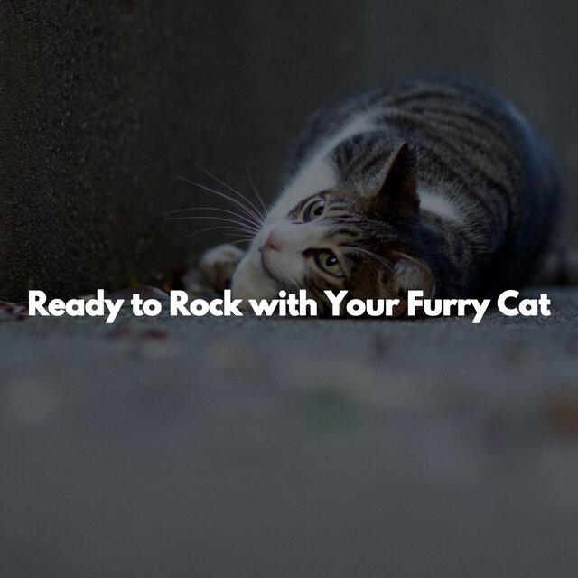 Ready to Rock with Your Furry Cat