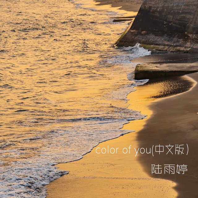 Color Of You (中文版)