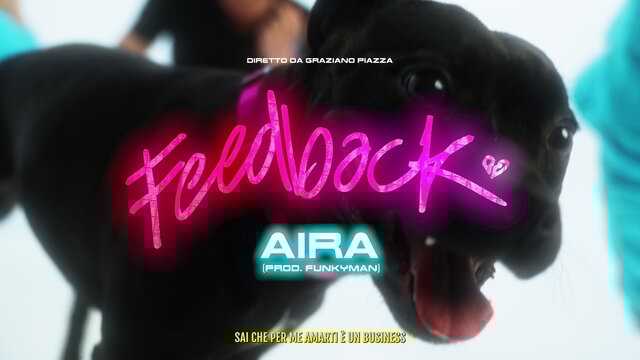 FEEDBACK (Visual Video)