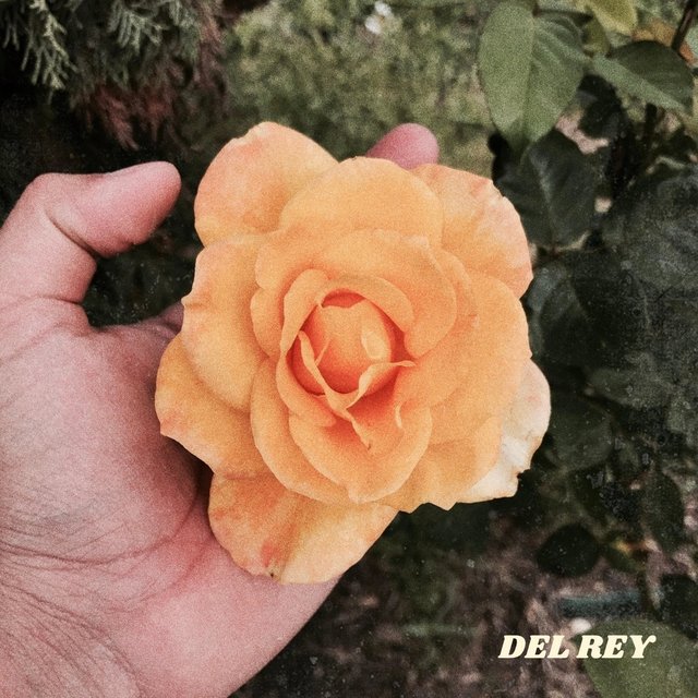 Del Rey