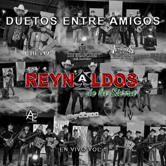 Duetos Entre Amigos (En Vivo Vol. 1)