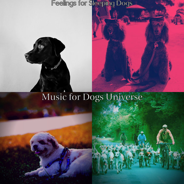 Feelings for Sleeping Dogs