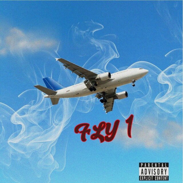 Fly 1