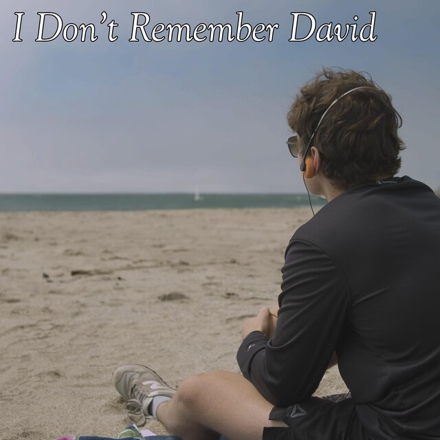 I Don't Remember David