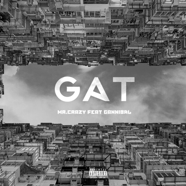 Gat (feat. Gannibal)