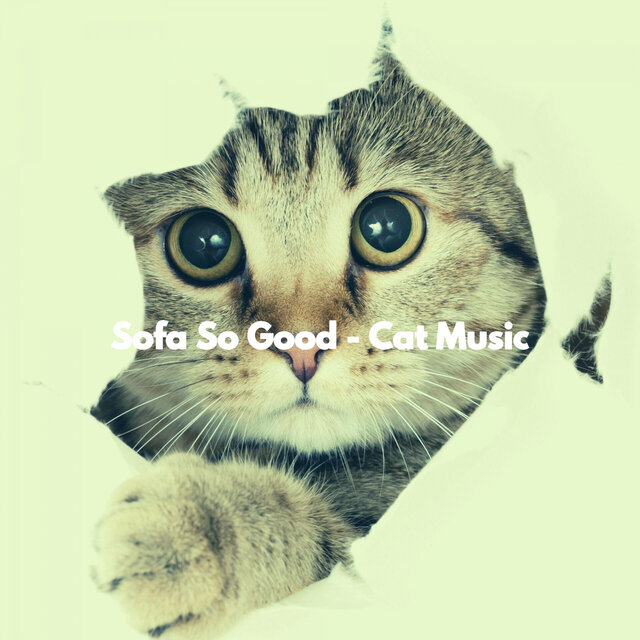 Sofa So Good - Cat Music