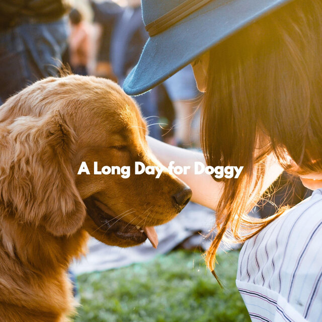 A Long Day for Doggy