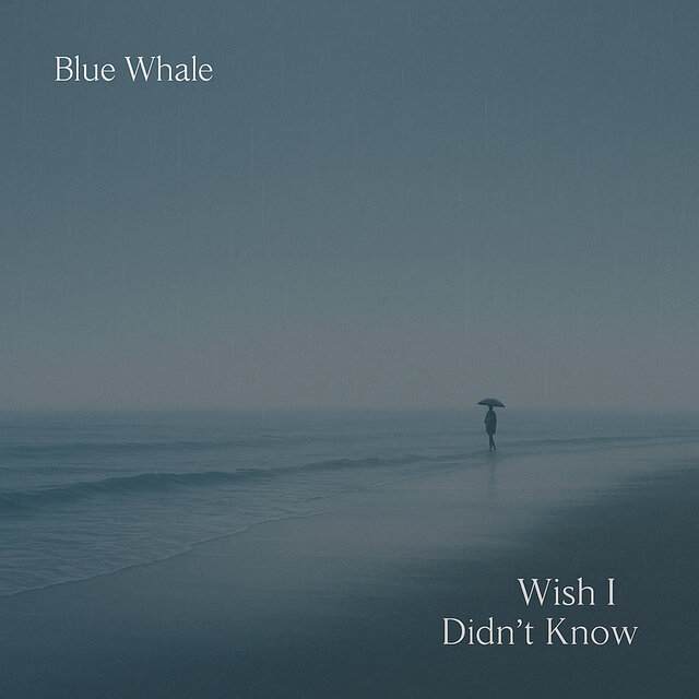 Wish I Didn`t Know