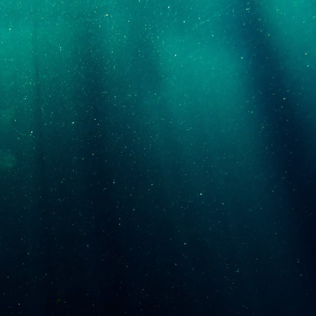 Delicate Ocean Breeze