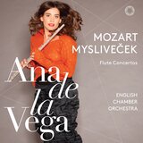 Flute Concerto No.2 in D Major, K. 314: III. Rondo. Allegretto