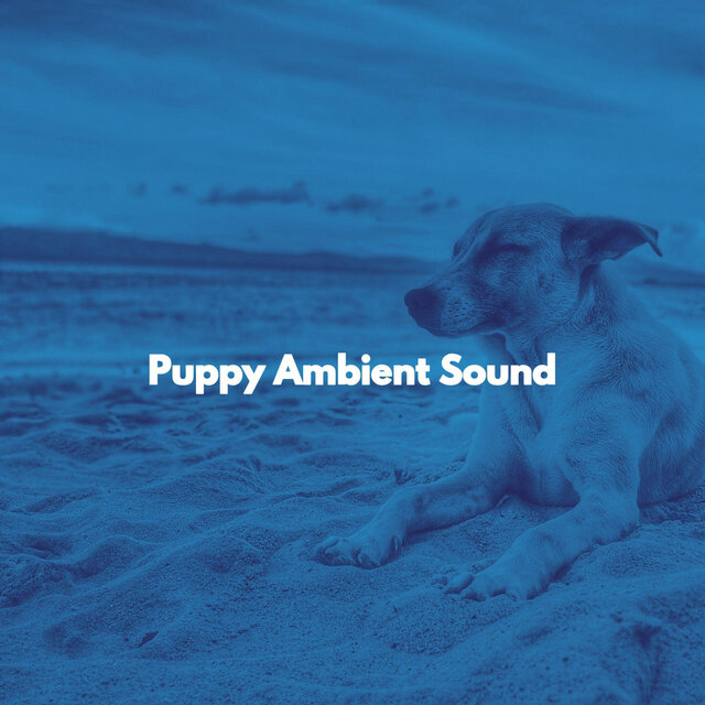 Puppy Ambient Sound