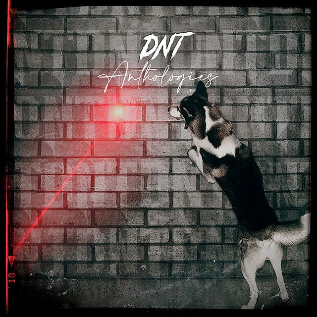 Dnt: Anthologies