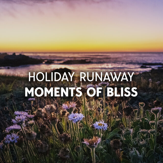 Holiday Runaway Moments Of Bliss