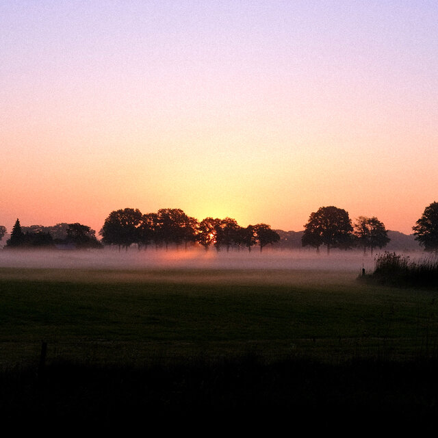Still Dawn