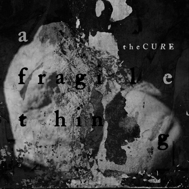 Cover art for album A Fragile Thing by The Cure
