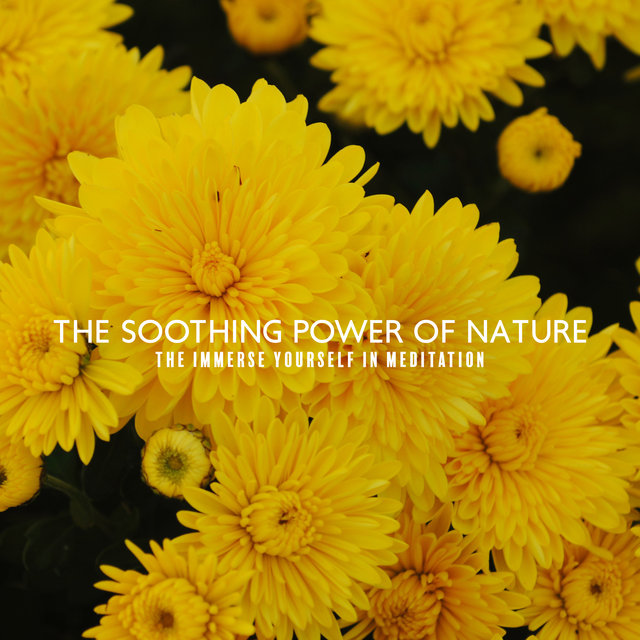 The Soothing Power of Nature - Immerse Yourself in Meditation (Meditation, Relaxation, Yoga, Mindfulness & Sleeping Troubles)